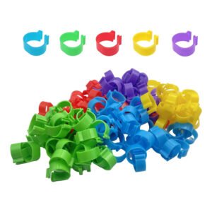 Bagues pour poules - unité - Lot de 50