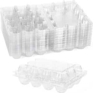 Contenant pour oeufs de cailles en plastique - 25 unités