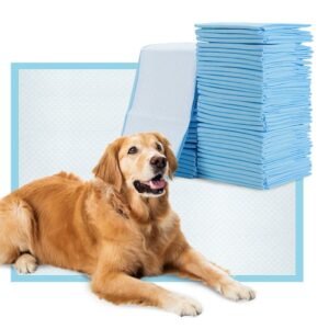 Grands tapis de propreté pour chiens