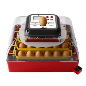 Incubateur automatique 24 œufs – écran LED, retournement & contrôle humidité (110 V)