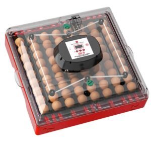 Incubateur numérique 72 œufs – retournement automatique, contrôle T°/humidité à écran LED (110 V)