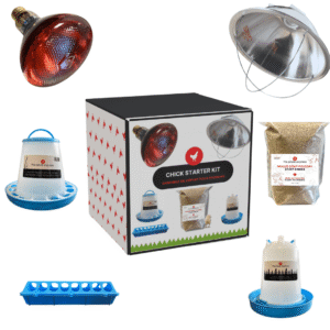 Kit d'Élevage pour Poussins Complet - Ma Poule Express™