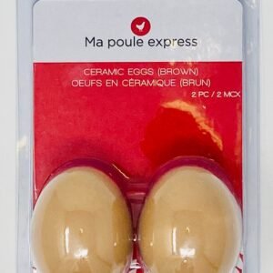 Oeufs en Céramique