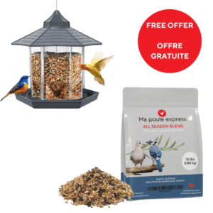 OFFRE GRATUITE - Moulé pour oiseaux toutes saison 15 LB + Mangeoire 5.5 LB