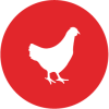 CIRCLE LOGO-18